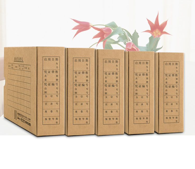 金典A5會(huì)計(jì)檔案憑證盒 